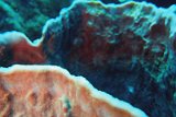 2016-03-24 12-54-09